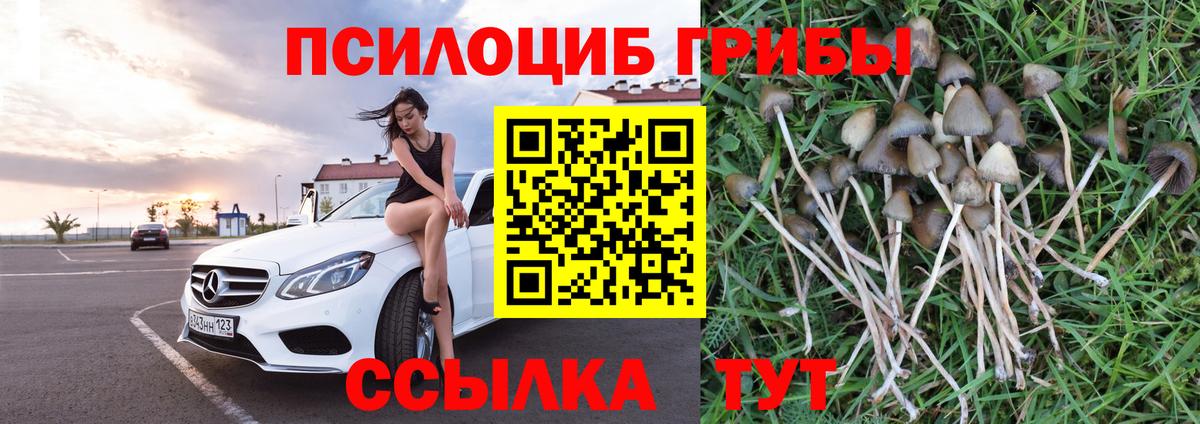 Галлюциногенные грибы Psilocybe  Псилоцибиновые грибы GOLDEN TEACHER  Вход с VPN  Екатеринбург 